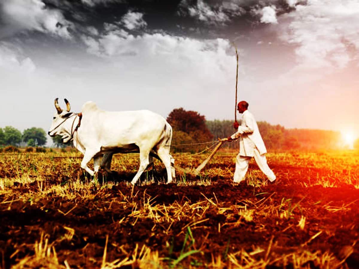 Farming Techniques : ખેતી, પશુપાલન અને મત્સ્યઉછેરથી તગડી કમાણી માટે ...