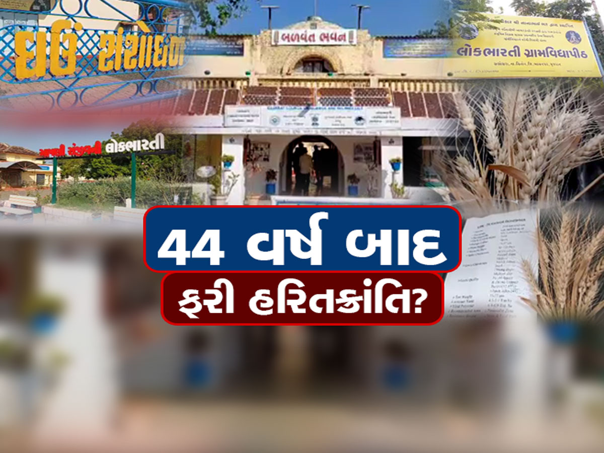 ગુજરાતમાં 44 વર્ષ બાદ ફરી થઈ હરિત ક્રાંતિ, ભંડાર ભરાય તેવા નવા પ્રકારના ઘઉંની જાતિ વિકસાવી