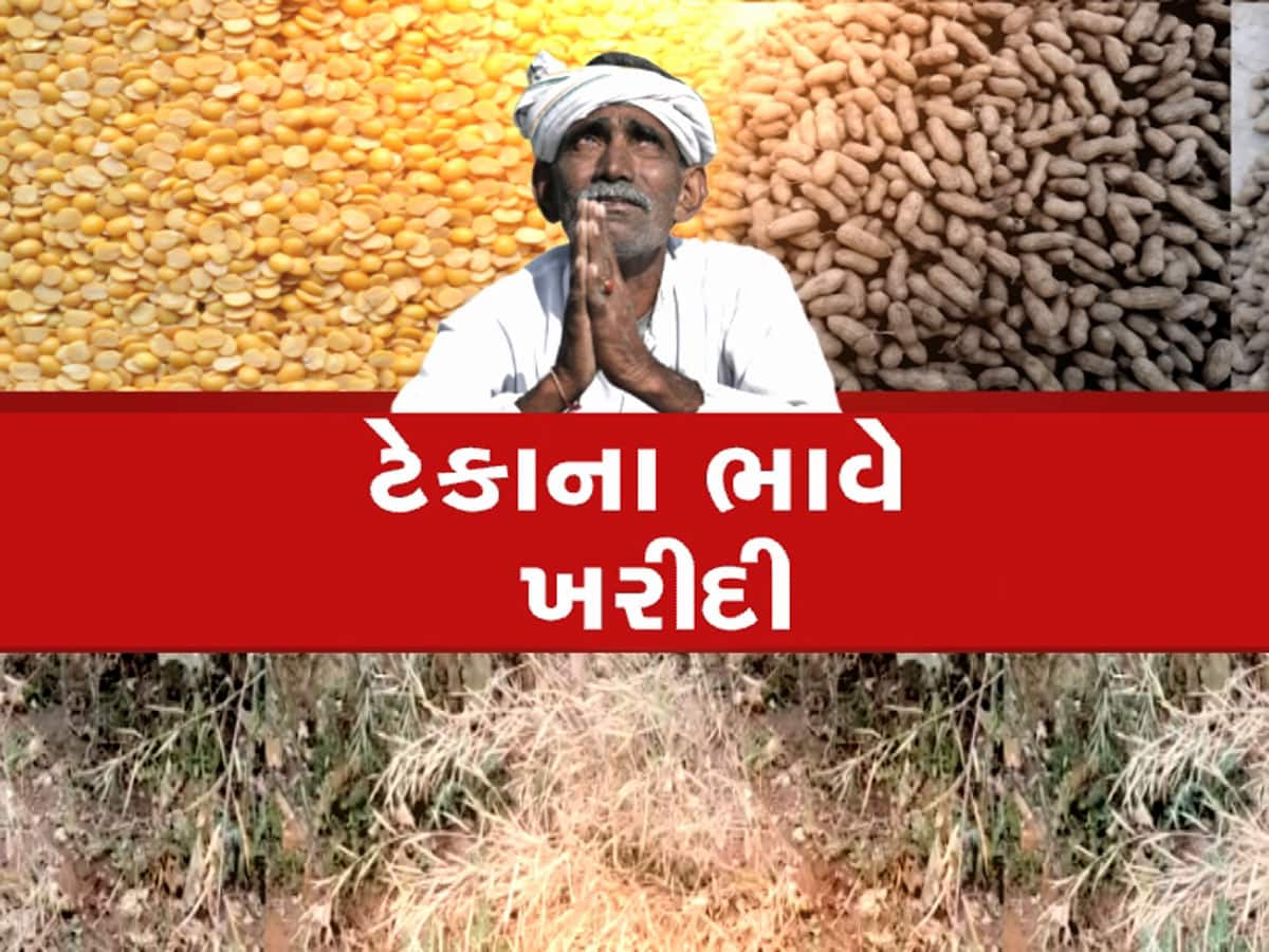 ગુજરાતના ખેડૂતોને નવું વર્ષ ફળ્યું, આજથી 4 પાકની ટેકાના ભાવે ખરીદીનો થયો પ્રારંભ