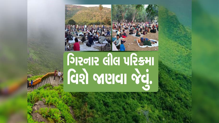 56 સિંહ અને 50 દીપડા ગુજરાતમાં જ્યાં રહે છે, ત્યાં લાખો લોકો ઉમટી પડ્યા