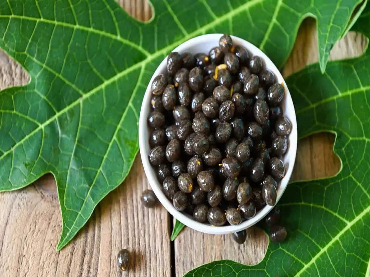 Papaya Seeds: સવારે વાસી મોઢે ખાઈ લો આ ફળના બી, કબજિયાત મટી જશે અને બેડ કોલેસ્ટ્રોલ પણ ઘટશે