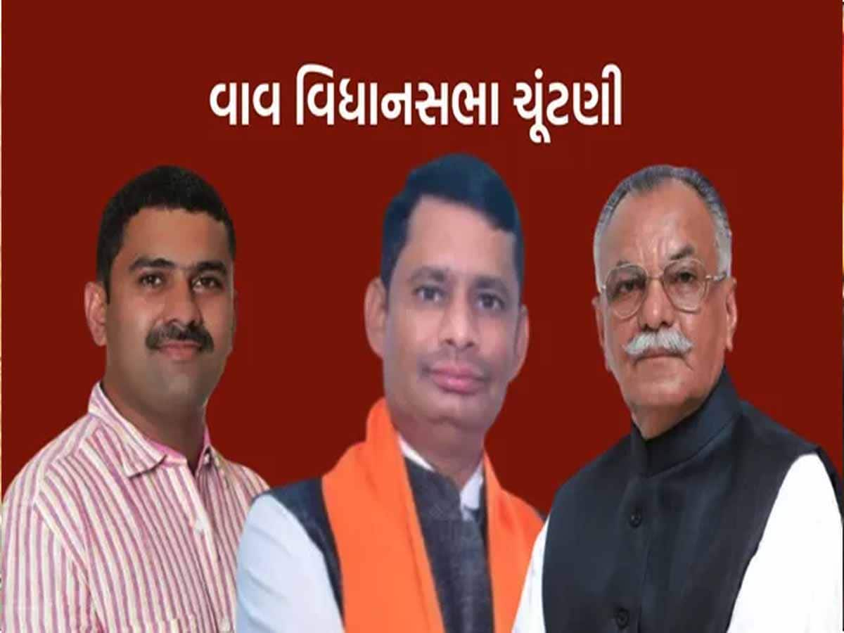 વાવમાં મતદાન પૂર્ણ! અંદાજિત 71 ટકા મતદાન; ભાજપ-કોંગ્રેસ અને અપક્ષ ઉમેદવારોનું ભાવિ EVMમાં સીલ