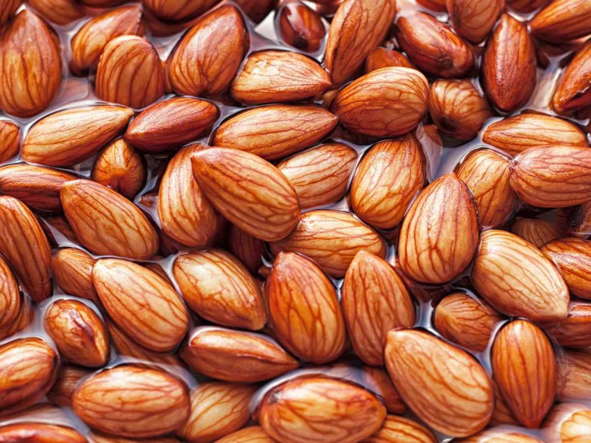 Soaked Almonds: દરરોજ સવારે પલાળેલા બદામથી કરો હેલ્ધી શરૂઆત, આ 5 ફાયદા  જાણીને થઈ જશો હેરાન!