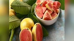 Guava: આ 5 સમસ્યા હોય તો જામફળ ખાવાનું ટાળજો, ખાવાથી બગડશે તબિયત