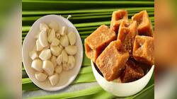 Garlic and Jaggery: લસણ અને ગોળ એકસાથે ખાવાથી દૂર થઈ શકે છે આ 5 સમસ્યા