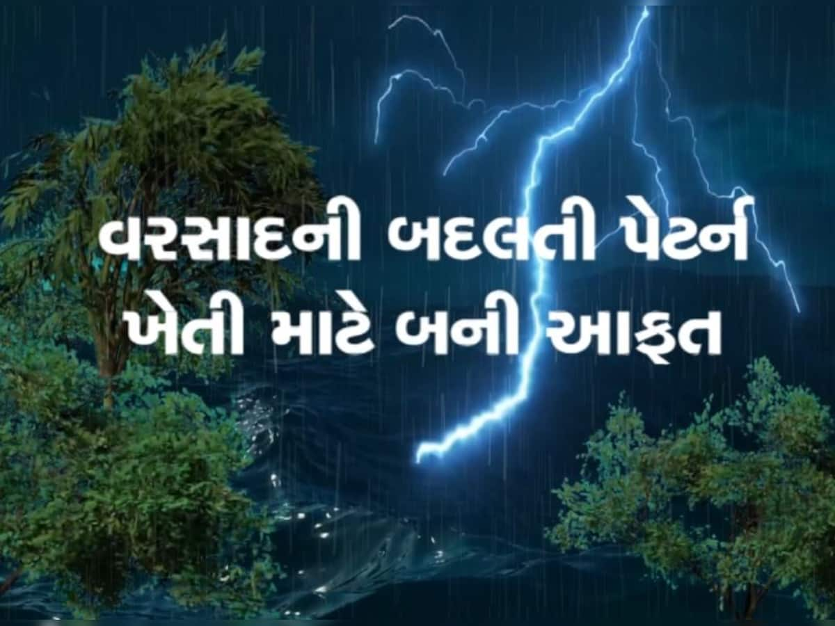 નવસારીમાં 700થી વધુ ખેડૂતોની હાલત કફોડી, ત્રણ વખત થયો નુકસાનીનો સર્વે, પણ નથી મળી સહાય