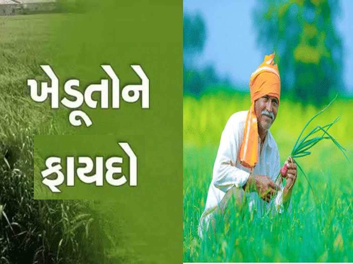 ગુજરાતમાં આ ખેતી કરનારાઓને થયો મોટો ફાયદો, સાડા ચાર લાખ ખેડૂતો ખાતામાં પડ્યા રૂપિયા  