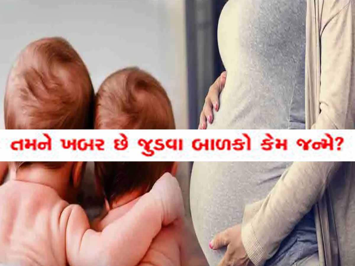  કેવી રીતે પૈદા થાય છે જોડકા બાળકો? એક્સપર્ટ પાસેથી જાણો કઈ મહિલાઓમાં હોય છે આવી સંભાવના?