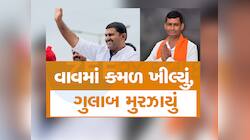 કાંટાની ટક્કર વચ્ચે વાવ પેટાચૂંટણીમાં જીતી ગયું ભાજપ, ગુલાબસિંહની 2300 મતથી હાર 