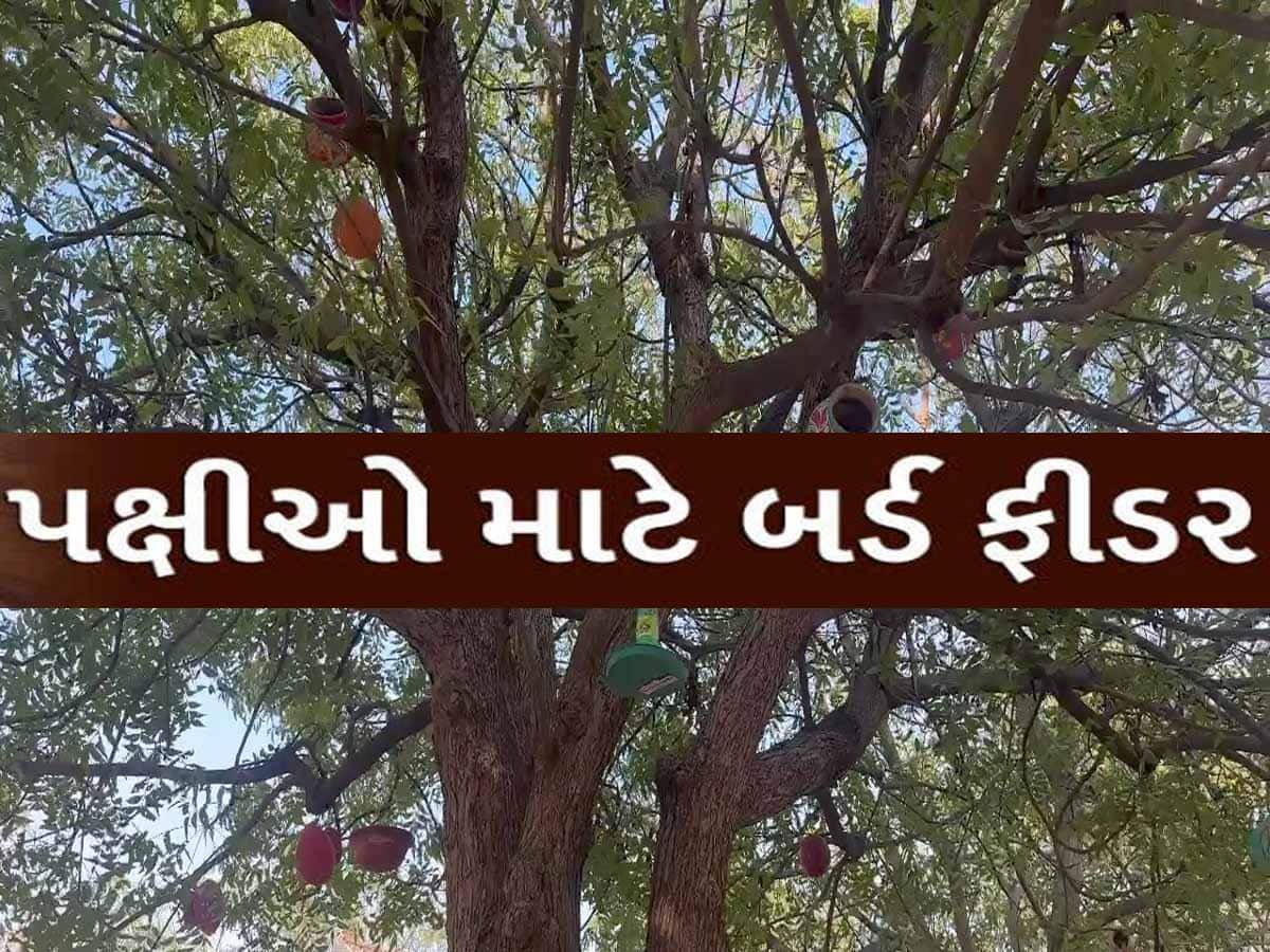 આ યુવકનો પક્ષીઓ પ્રત્યે 'જબરો પ્રેમ'; વેસ્ટમાંથી બનાવી ખાસ વસ્તુ, આ રીતે થશે ઉપયોગી