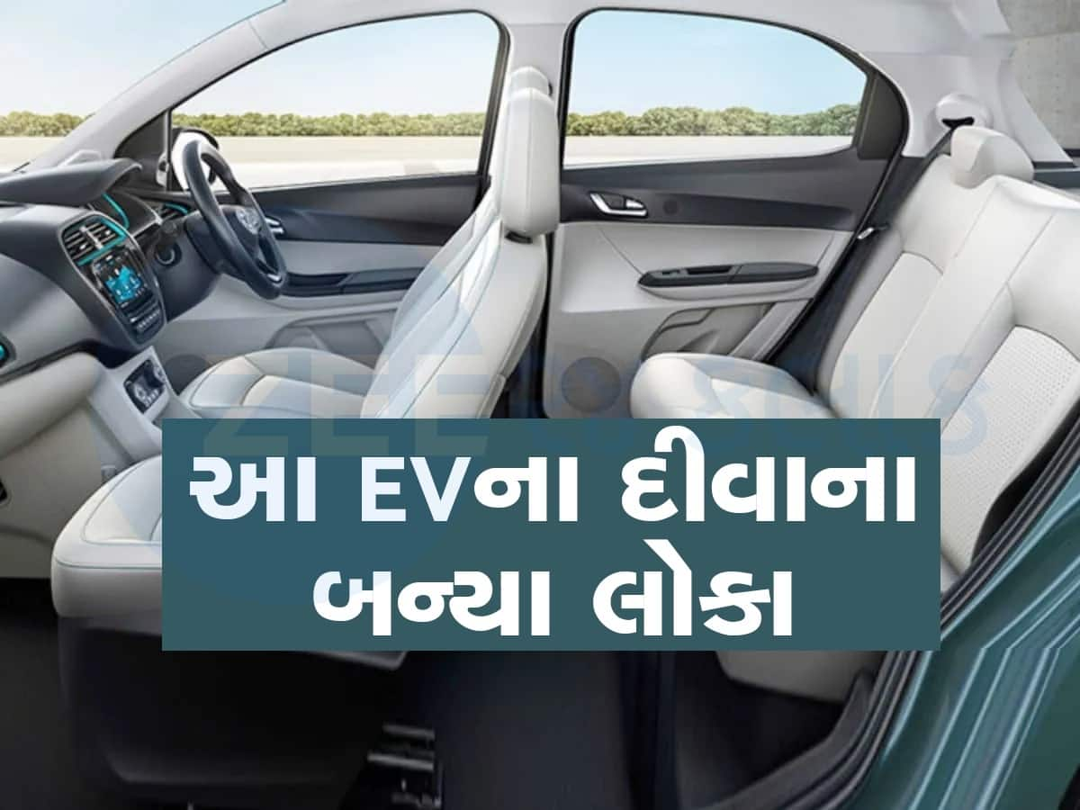 આ કંપનીની ઈલેક્ટ્રિક કાર પર તૂટી પડ્યા ગ્રાહકો, વેચાણમાં બની ગઈ નંબર-1, 72% માર્કેટ પર કબજો