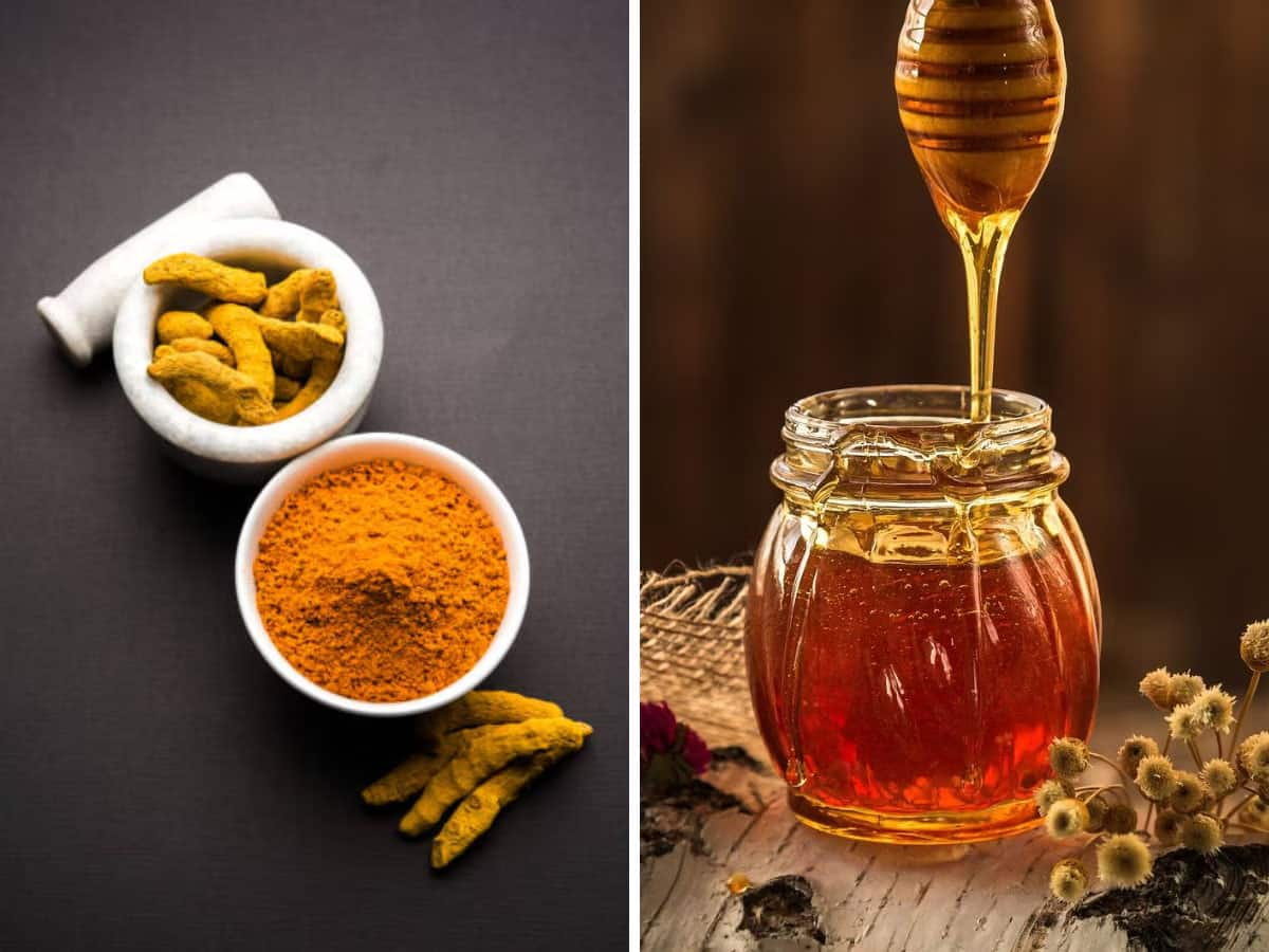 Honey-Turmeric: 5 બીમારીઓની એક દવા 1 ચમચી મધ, 2 ચપટી હળદર, શિયાળામાં ખાવાનું કરી દો શરુ