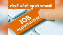 બાયોડેટા તૈયાર રાખો! ગુજરાત સહિત ભારતના આ ક્ષેત્રમાં 80000 નોકરી, થયો મોટો ખુલાસો