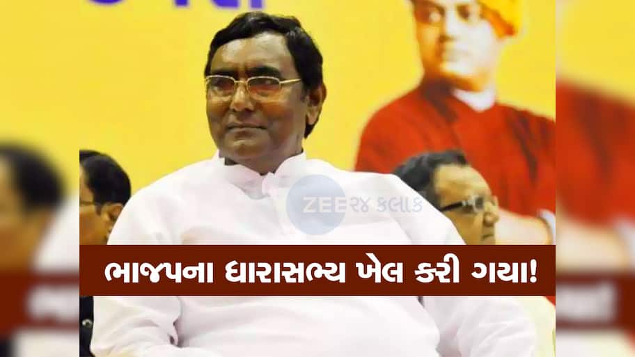 ભાજપના આ ધારાસભ્યએ એવી તો કઈ કરતૂત કરી કે દિલ્હીમાં આંટાફેરા મારવાનું શરૂ કરવું પડ્યું