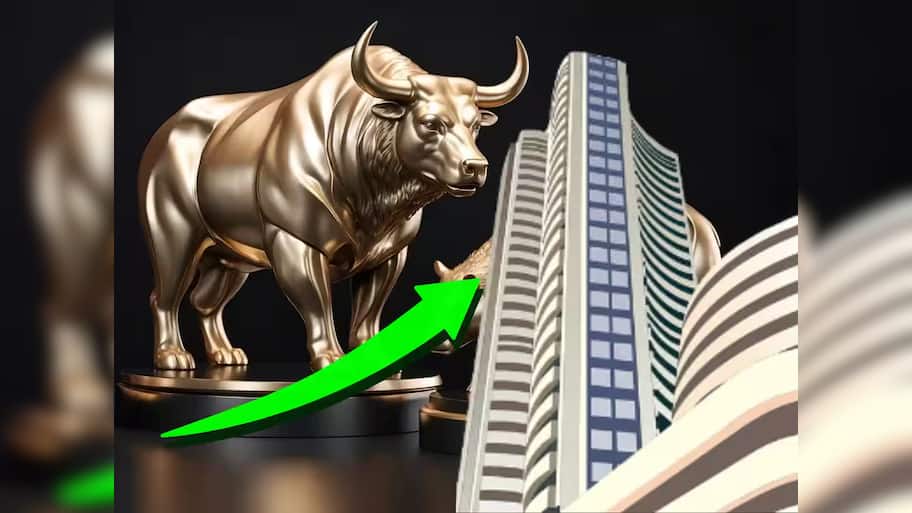 Crorepati Stock: 1980 માં આ કંપનીના ખરીદ્યા હોત 100 શેર તો આજે બની ગયા હોત ₹3,000 કરોડના માલિક