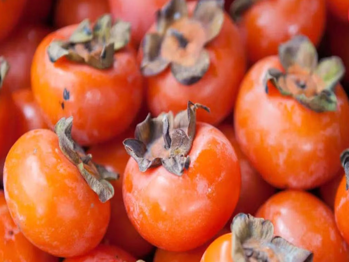 Ramphal: ટમેટા જેવું દેખાતું આ ફળ ડાયાબિટીસ પેશન્ટ માટે વરદાન, ખાવાથી બ્લડ શુગર રહે છે કંટ્રોલમાં