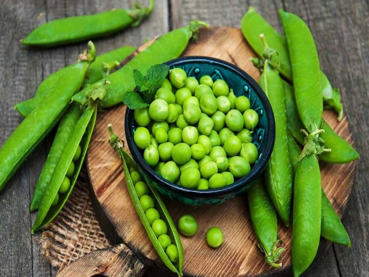 Green Peas: લીલા વટાણા ખાવાથી થઈ શકે છે આ 5 નુકસાન, આ 2 બીમારીમાં તો ખાવા જ નહીં