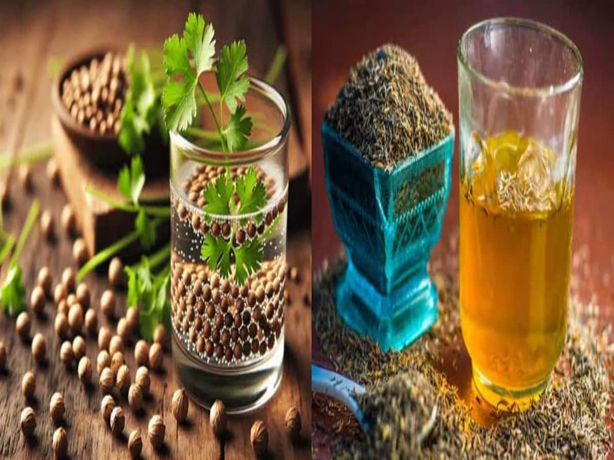 જીરુંનું પાણી કે કોથમિરનું પાણી! વજન ઘટાડવા માટે કયું સૌથી વધારે છે ફાયદાકારક? 