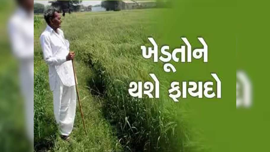 રાજ્યના ખેડૂતો માટે કામની વાત: આ કામ ફટાફટ પતાવી લેજો, સમગ્ર દેશમાં ગુજરાતે બનાવ્યો છે રેકોર્ડ