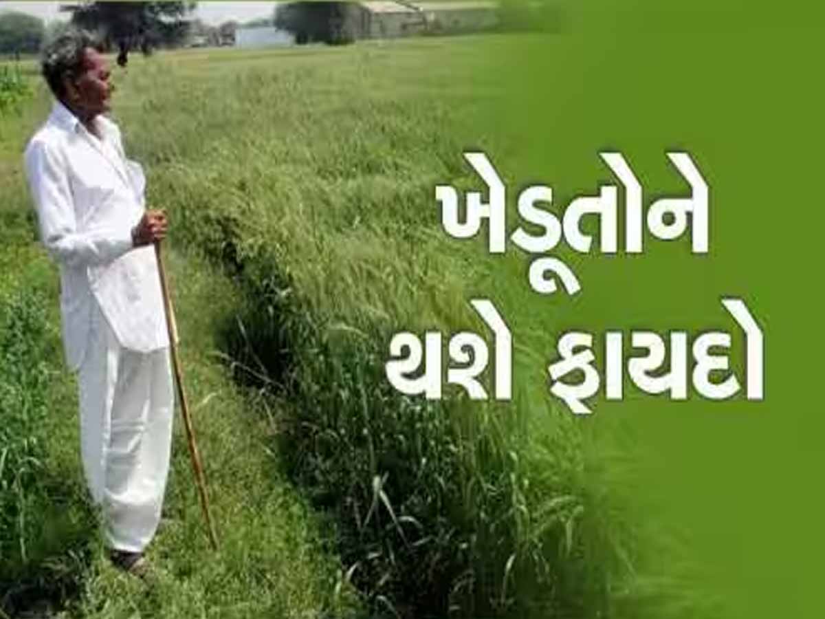 રાજ્યના ખેડૂતો માટે કામની વાત: આ કામ ફટાફટ પતાવી લેજો, સમગ્ર દેશમાં ગુજરાતે બનાવ્યો છે રેકોર્ડ રાજ્યના ખેડૂતો માટે કામની વાત: આ કામ ફટાફટ પતાવી લેજો, સમગ્ર દેશમાં ગુજરાતે બનાવ્યો છે રેકોર્ડ