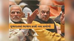 દિલ્હીના ઓર્ડરથી કેમ અટકાવી દેવાઈ ભાજપમાં વોર્ડ અને મંડળ પ્રમુખોની ચૂંટણી પ્રોસેસ?