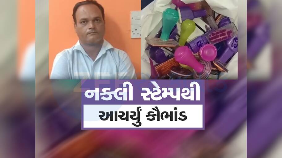 તલાટી મંત્રીના નકલી સ્ટેમ્પ બનાવી 34થી વધુ લોકોની લોન અપાવી, પોલીસે ભેજાબાજને ઝડપ્યો