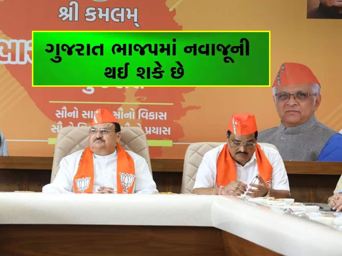 ભાજપ સંગઠનમાં મોટાપાયે નવાજૂની થશે, આજે ગાંધીનગરમાં બંધબારણે બેઠક શરૂ