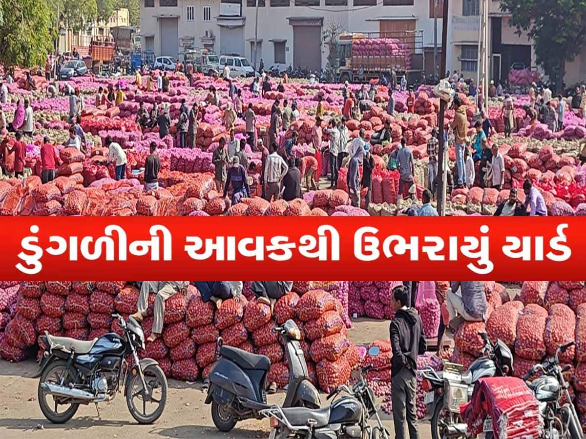 સૌરાષ્ટ્રનું અગ્રીમ ગણાતું ગોંડલ માર્કેટિંગ યાર્ડ 'ગરીબોની કસ્તુરી'થી ઉભરાયું: યાર્ડ બહાર હજુ 500થી વધુ વાહનોની લાઈન