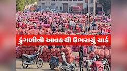 ગોંડલ માર્કેટિંગ યાર્ડ 'ગરીબોની કસ્તુરી'થી ઉભરાયું: હજુ 500થી વધુ વાહનો લાઈનમાં ઉભા!