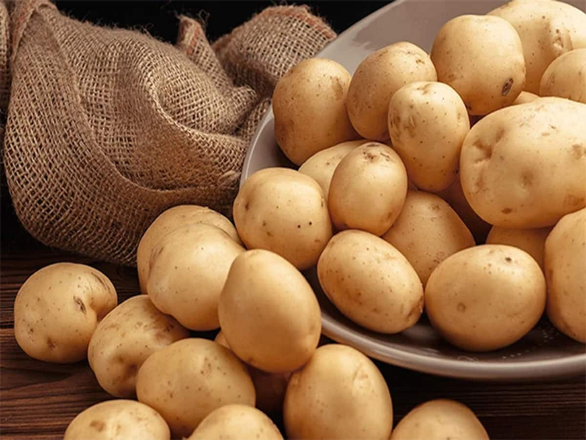 Potato: માર્કેટમાં ધડાધડ વેંચાય છે નકલી બટેટા, ખરીદી વખતે આ રીતે ચેક કરીને લેજો બટેટા