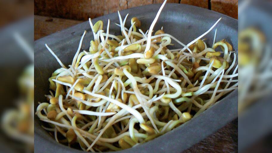 Fenugreek: ફણગાવેલી મેથી ખાવાની કરો શરુઆત, પાચનથી લઈ હાર્ટ હેલ્થમાં થશે સુધારો, 5 તકલીફો ફટાફટ થશે દુર