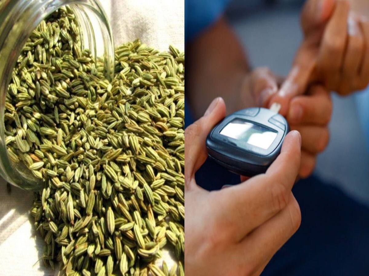 Fennel Seeds: બ્લડ શુગર લેવલ હાઈ રહે છે ? રાત્રે સૂતા પહેલા ચાવીને ખાઈ લો આ વસ્તુ, કંટ્રોલમાં રહેશે ડાયાબિટીસ