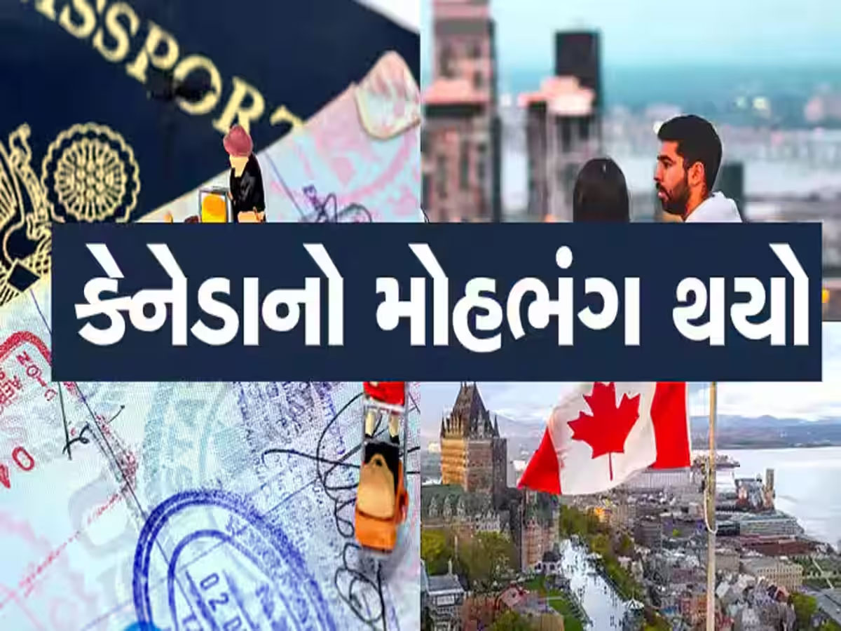 કેનેડામાં કચરા પોતા કરવાના પણ કામ મળતા નથી! વિદ્યાર્થીઓનું ભવિષ્ય બરબાદ થયું કેનેડામાં કચરા પોતા કરવાના પણ કામ મળતા નથી! વિદ્યાર્થીઓનું ભવિષ્ય બરબાદ થયું