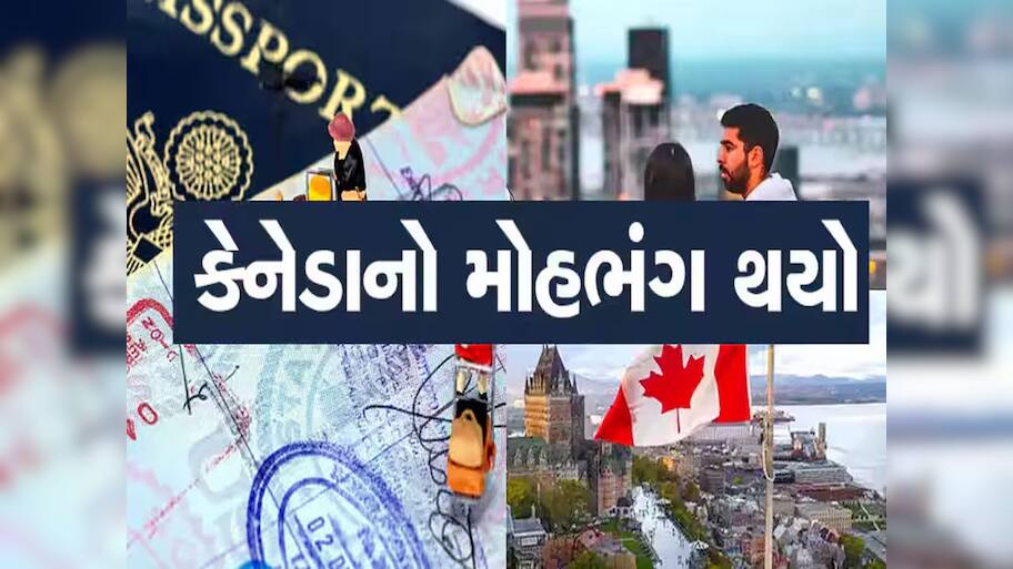 કેનેડામાં કચરા પોતા કરવાના પણ કામ મળતા નથી! વિદ્યાર્થીઓનું ભવિષ્ય બરબાદ થયું