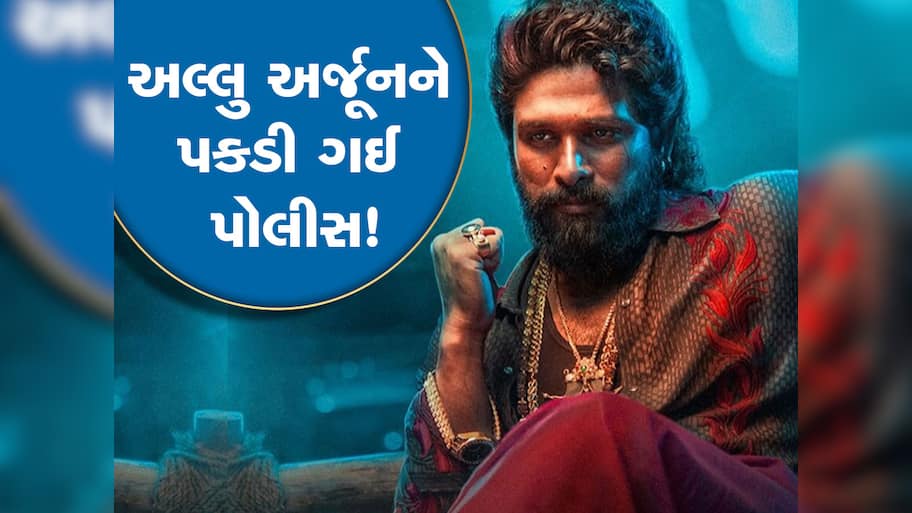 અલ્લુ અર્જૂનને કોઈ રાહત નહીં, ભાગદોડમાં મહિલાના મોત મામલે 14 દિવસ જ્યુડિશિયલ કસ્ટડીમાં