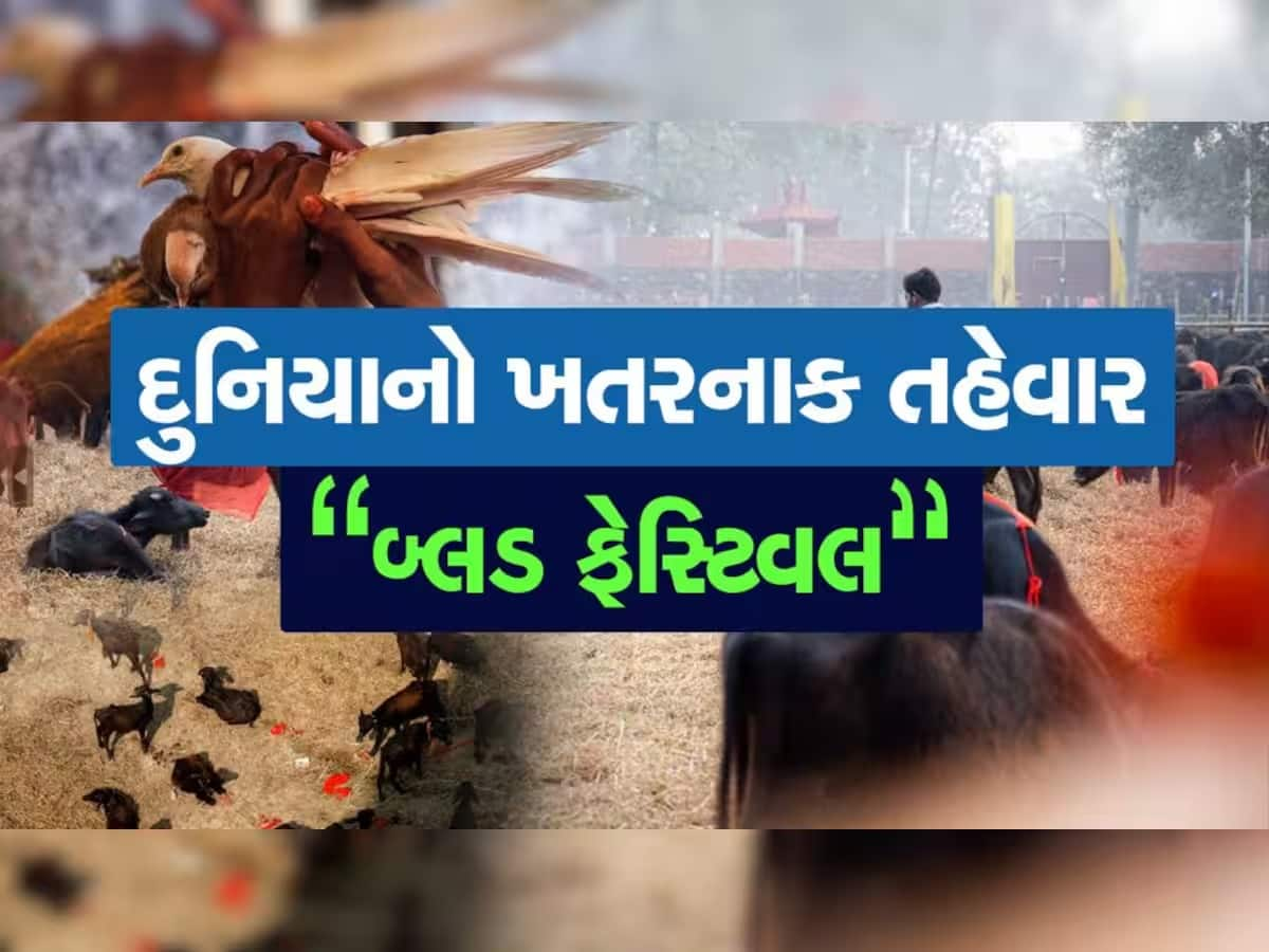 આ દેશમાં દર 5 વર્ષ બાદ વહે છે લોહીની નદીઓ! જાણો શું છે બ્લડ ફેસ્ટિવલ?