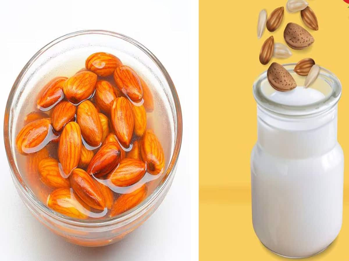 Dry Fruits: પાણી કે દૂધ ? ડ્રાયફ્રુટને કઈ વસ્તુમાં પલાળીને ખાવાથી વધારે ફાયદો થાય ?