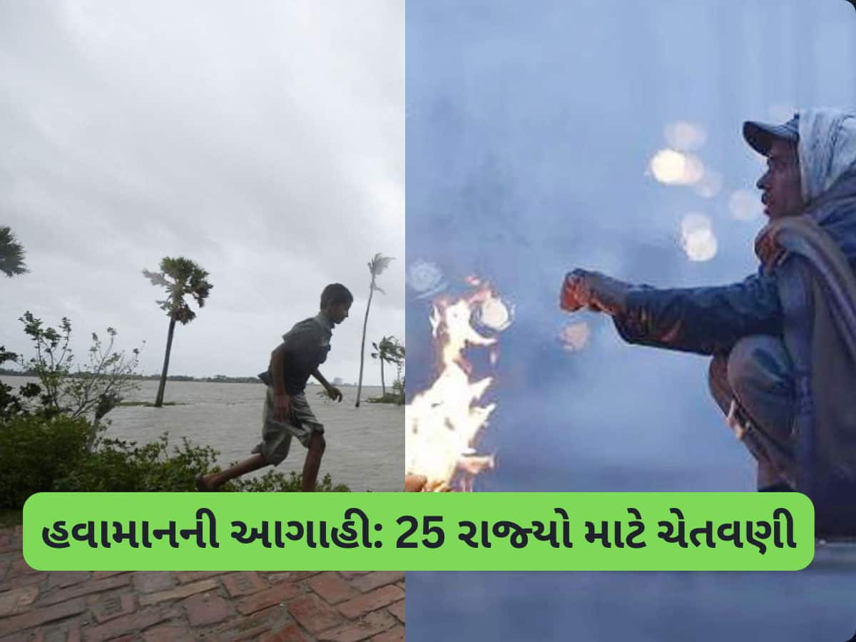 Weather Forecast: 55KMની ઝડપે ફૂંકાશે પવન, ભર શિયાળે ભારે વરસાદ, ગાઢ ધુમ્મસનું એલર્ટ! 25 રાજ્યો માટે IMD ની ચેતવણી