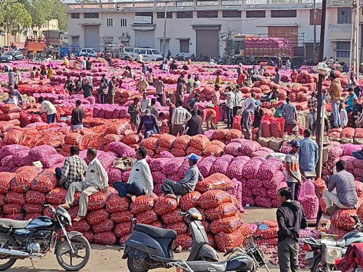 ડુંગળી વાવતા ગુજરાતના ખેડૂતો માટે મહત્વપૂર્ણ સમાચાર! આ વાંચીને ઘરની બહાર નીકળજો...