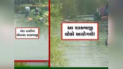 આ તસવીરો જોઈ રુંવાડા ઉભા થઈ જશે! ખાડાના પાણીમાં ધોવાઈ શાકભાજી, પછી માર્કેટમાં વેચાઈ