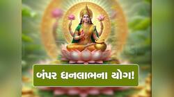 2025 આ રાશિ અને મૂળાંકવાળા માટે યાદગાર રહેશે, લક્ષ્મીમાતા રૂમઝૂમ કરતા આવશે અને...