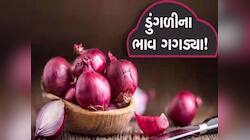 ગરીબોને કસ્તુરીએ ખેડૂતોને બનાવ્યા ગરીબ! ભાવ તળિયે જતાં ખેડૂતો રાતા પાણીએ રોયા