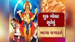 બસ ખાલી 4 દિવસ બાકી, પછી પલ્ટી મારશે આ 4 રાશિઓનું કિસ્મત, શુક્ર અપાવશે લગ્ઝરી લાઈફ