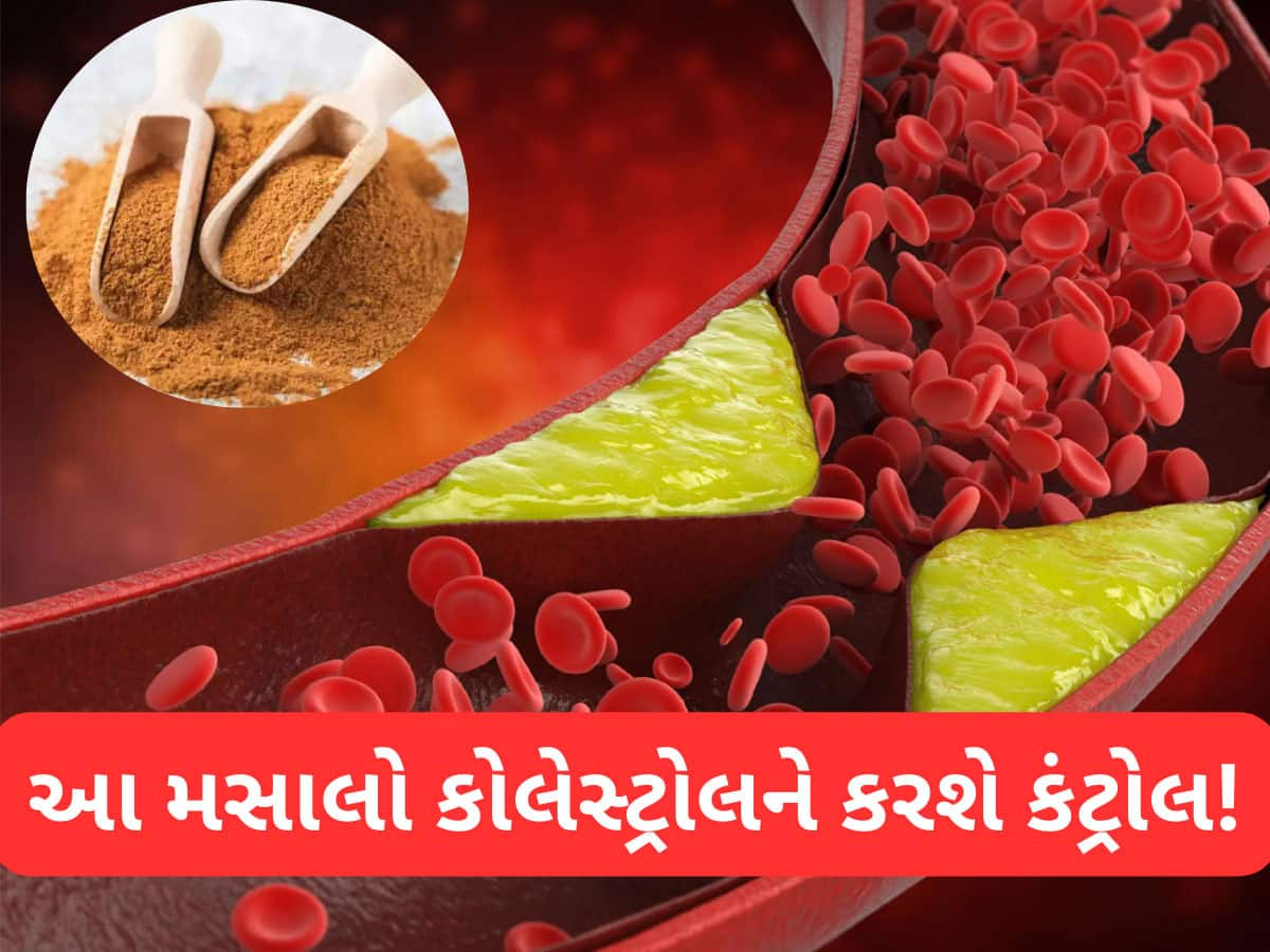 ધમનીઓમાં જામેલા ગંદા કોલેસ્ટ્રોલને કાઢવામાં સક્ષમ છે આ વસ્તુ, અઠવાડિયામાં ફરક દેખાવા લાગે છે!