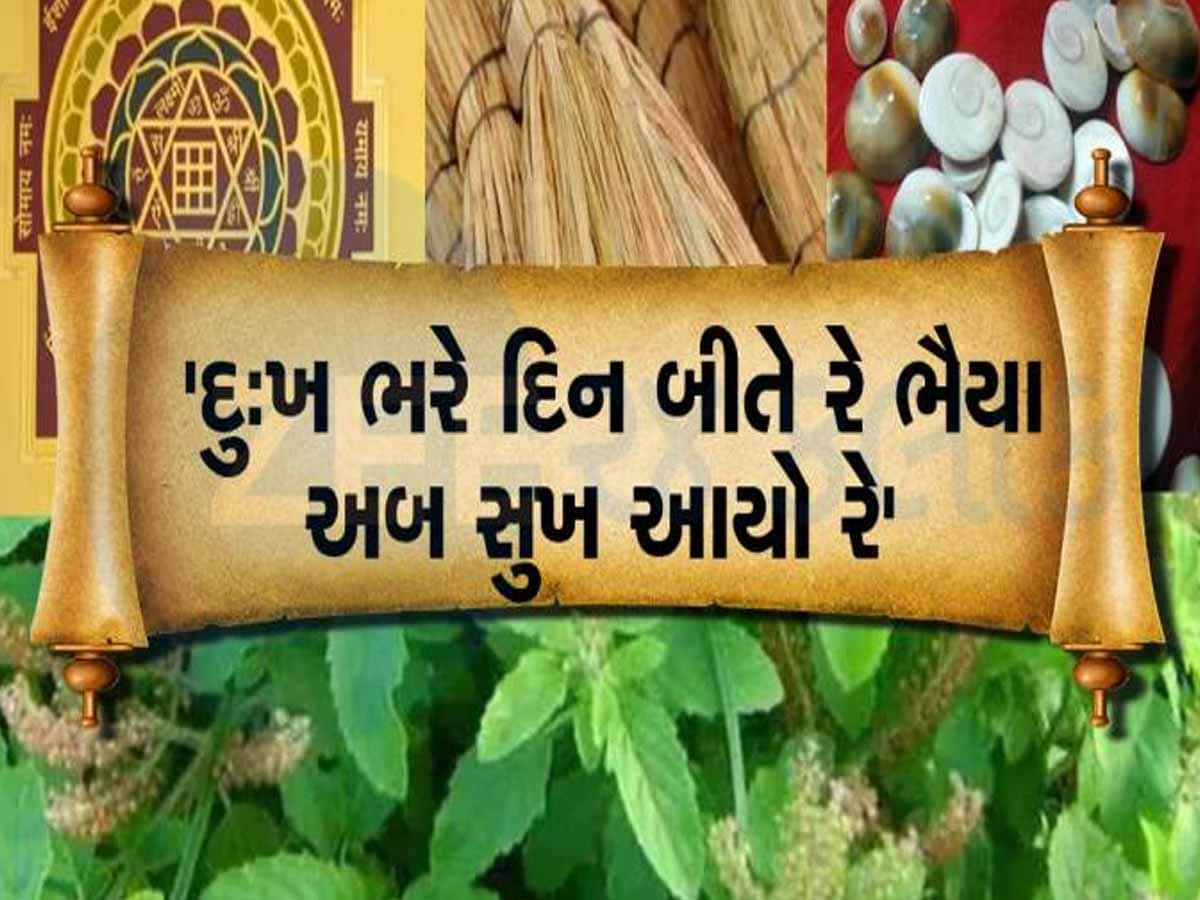 તમારા માટે નવું વર્ષ કેવું રહેશે? પહેલા દિવસે દેખાય આ શુભ વસ્તુઓ તો સમજો નસીબના દ્વાર ખુલ્લા!