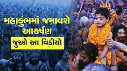 પ્રયાગરાજમાં યોજાનારા મહાકુંભમાં અનોખું આકર્ષણ, આ જોઇને તમે પણ કહેશો વાહ!