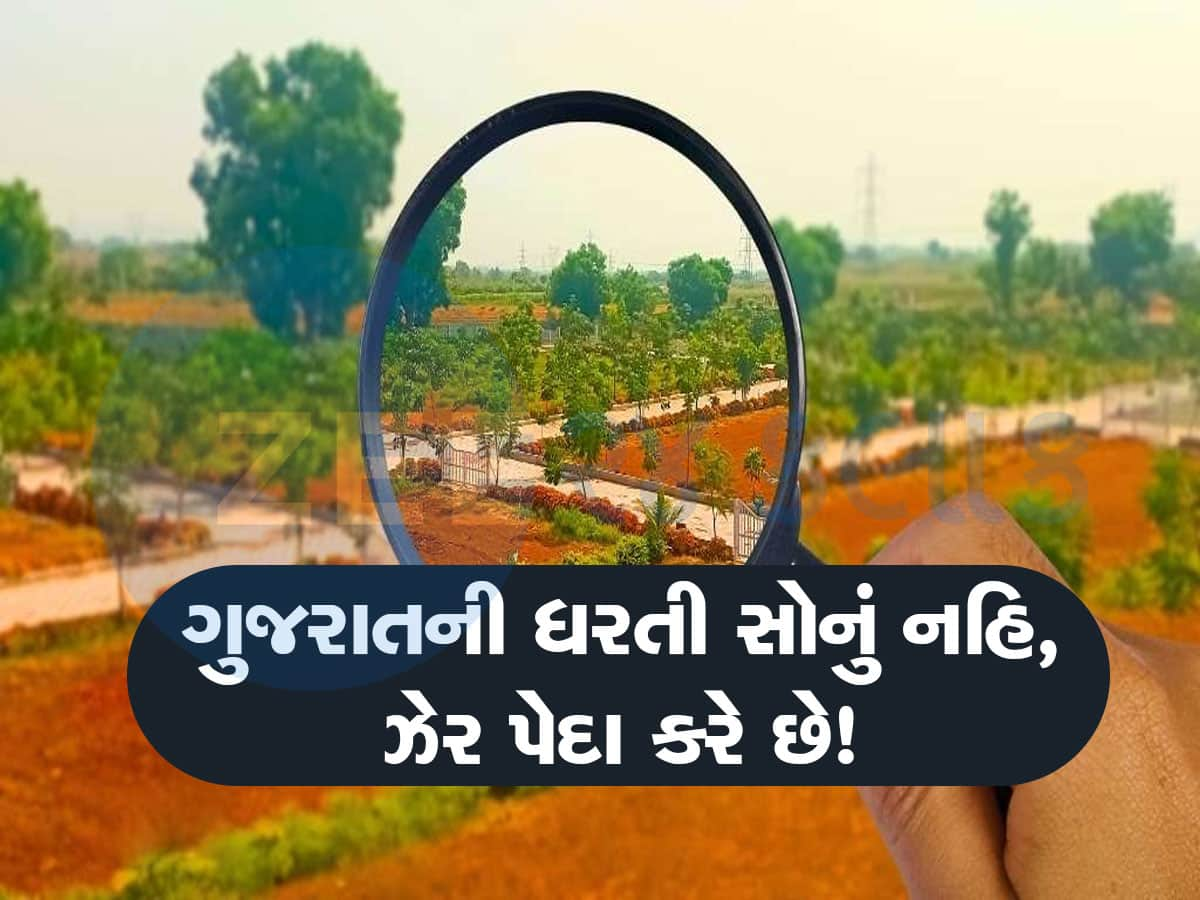 ગુજરાતની ખેતીલાયક જમીન પર છે મોટું જોખમ, જુનાગઢ કૃષિ યુનિવર્સિટીનો ચોંકાવનારો રિપોર્ટ