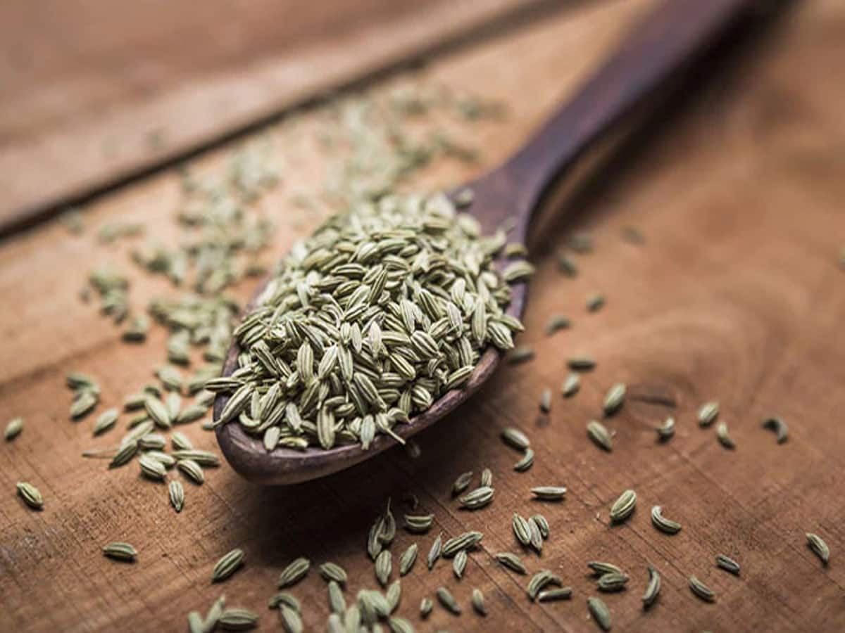 Fennel Seeds: રોજ જમ્યા પછી 1 ચમચી વરીયાળી ખાવી, જાણો આ આદતથી થતા લાભ વિશે