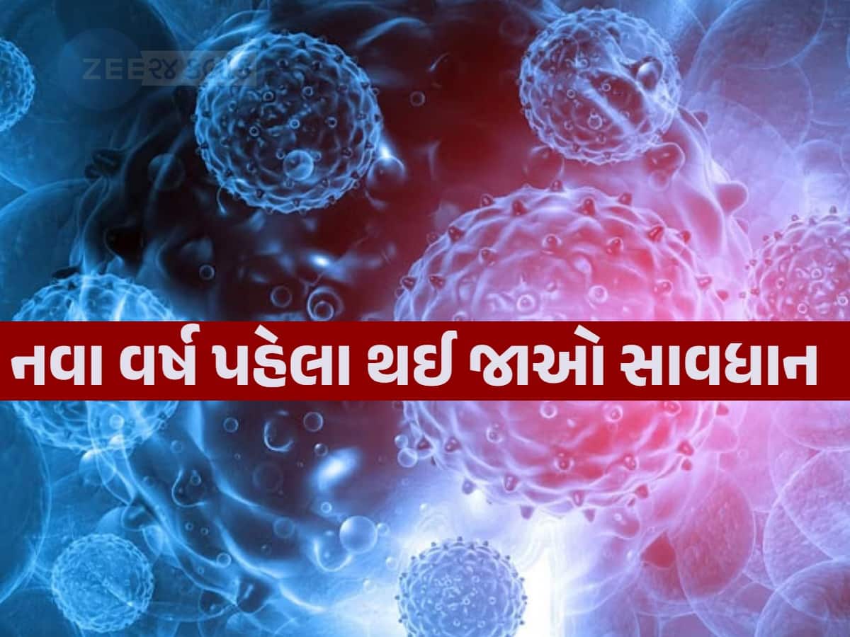 2025માં કઈ બીમારી આખી દુનિયામાં તબાહી મચાવી શકે? નામ જાણી અત્યારથી જ બચવાની કરો તૈયારી!