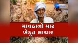 ગુજરાતમાં માવઠાએ વધારી ખેડૂતોની ચિંતા, આ પાકમાં નુકસાન થવાની ભીતિ